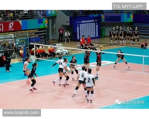 成都排球队实力深度解析与对手力量对比全景分析